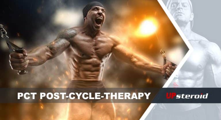 النسبة المئوية