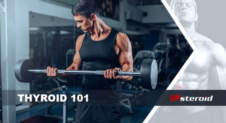 أساسيات الغدة الدرقية