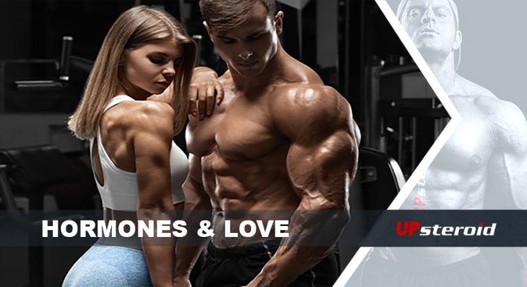 الهرمونات تحب