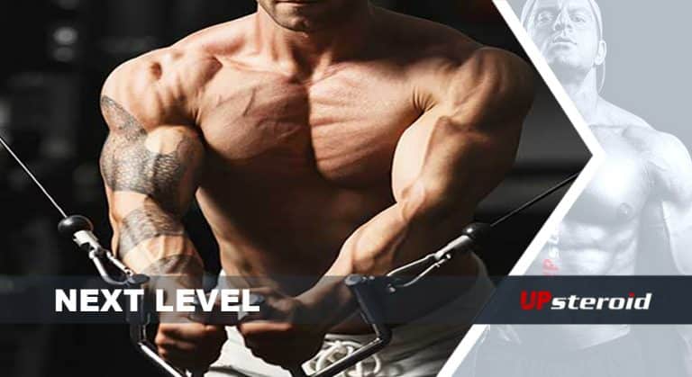 المستوى التالي