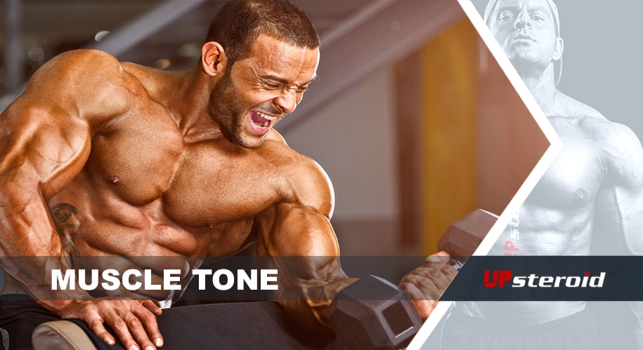 قوة العضلات