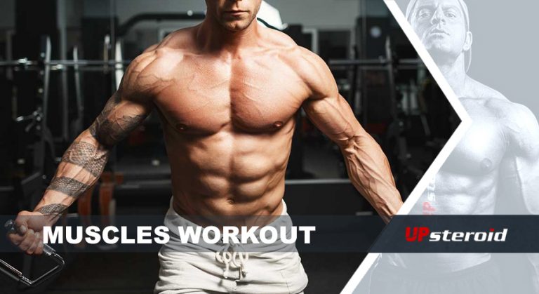 تمرين العضلات