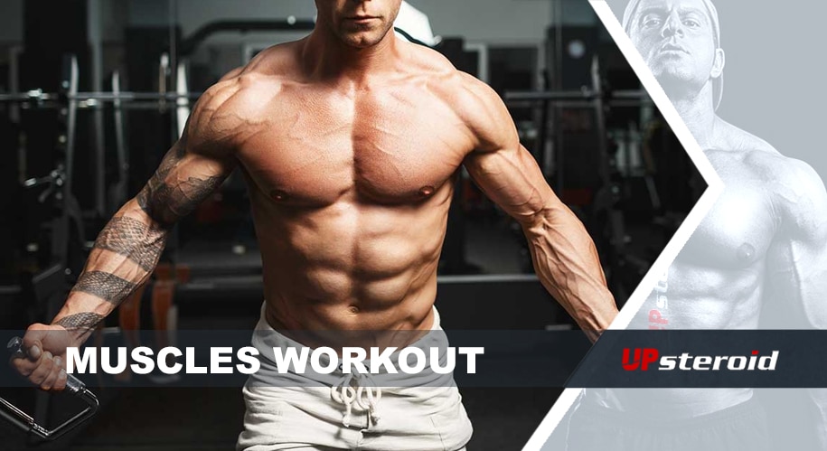 تمرين العضلات