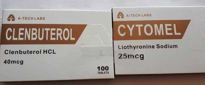 25/03/2019 كونيو، إيطاليا