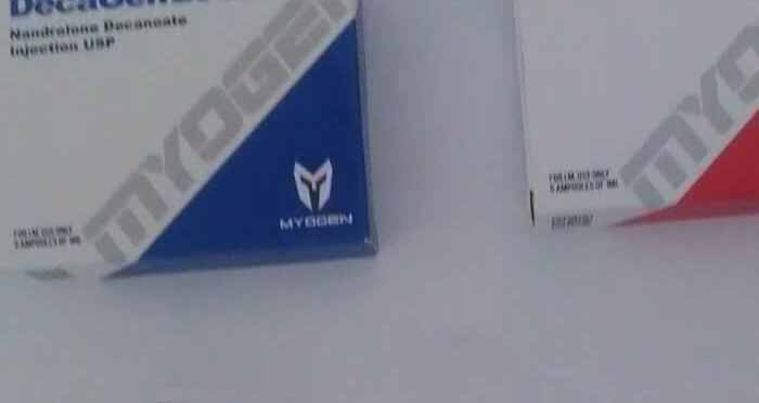 13.11.2019 فولتكس أون فيلين فرنسا