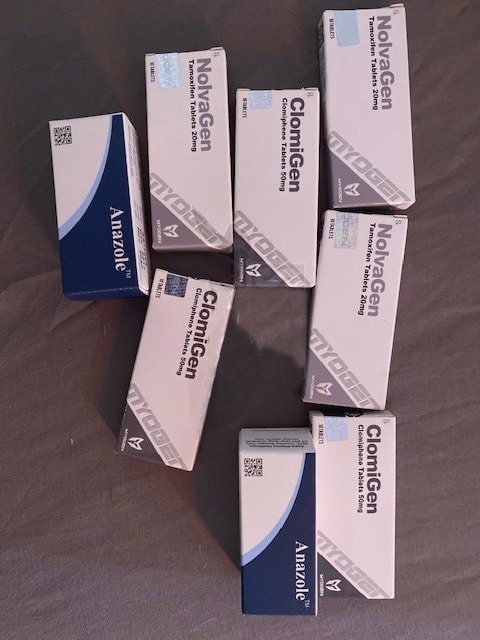 14.05.2020 فينسا فرنسا