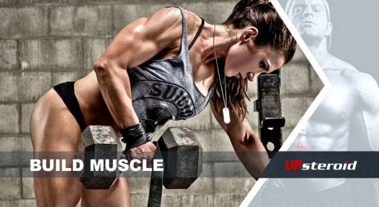 بناء العضلات