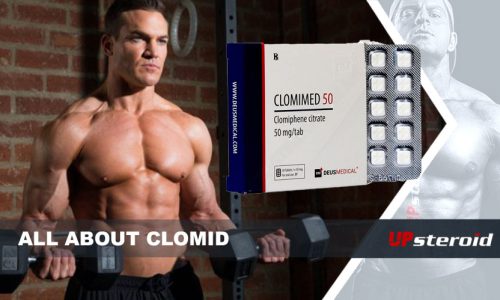 كل ما يتعلق بـ Clomid UP