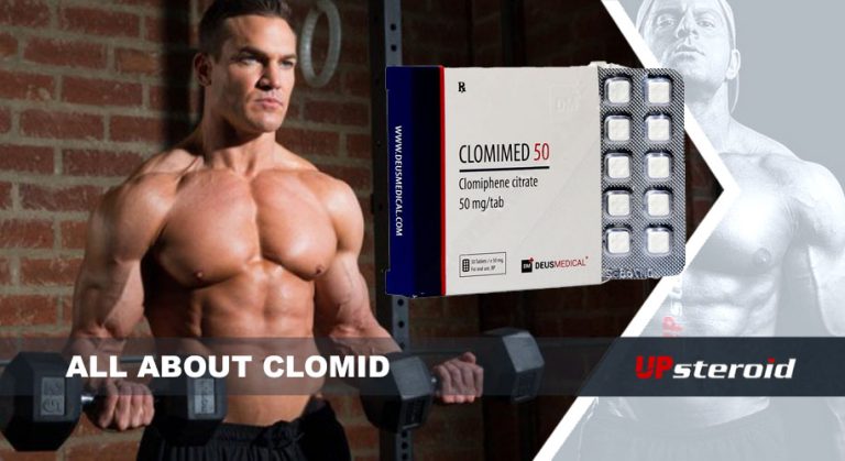 كل ما يتعلق بـ Clomid UP
