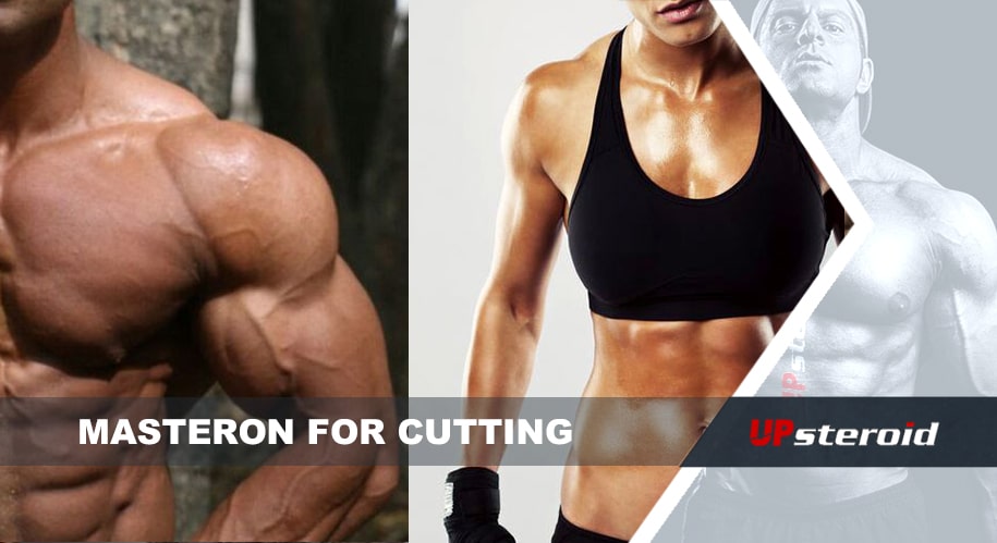 قطع ماستيرون (1)