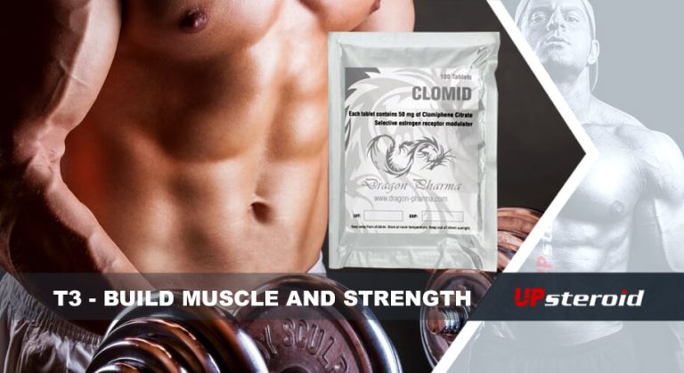 مدونة Up T3 لبناء قوة العضلات