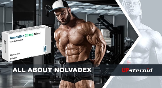 مدونة تتحدث عن بريد نولفادكس