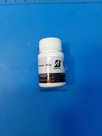 2023 01 10 63bd94e646207 أبستيرويد