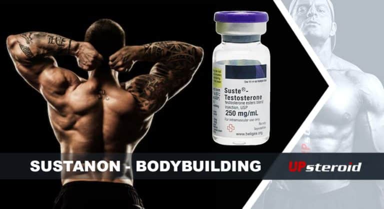 مدونة up susta كمال الأجسام