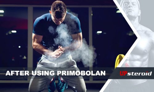 مدونة جديدة بعد استخدام بريموبولان