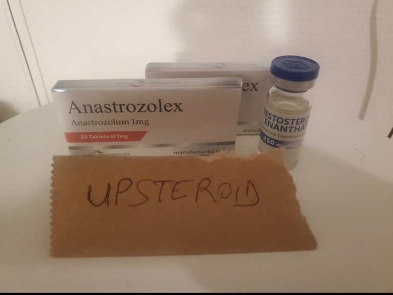 2023 08 23 64e5fdcdb29f6 لقطة شاشة 20230823 143549 معرض الصور