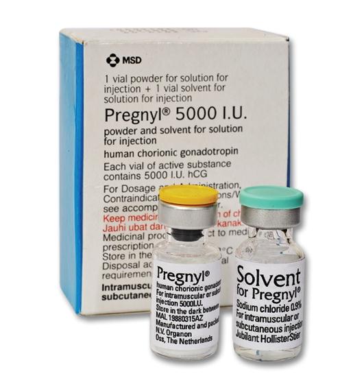 بريجنايل إم إس دي