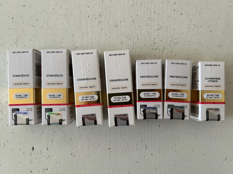 2024 02 12 65ca6799e5779 2 صور 26.11.23