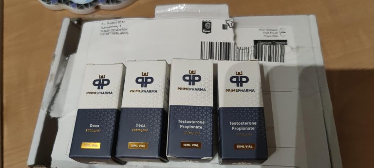 2024 02 27 65ddae399da25 up