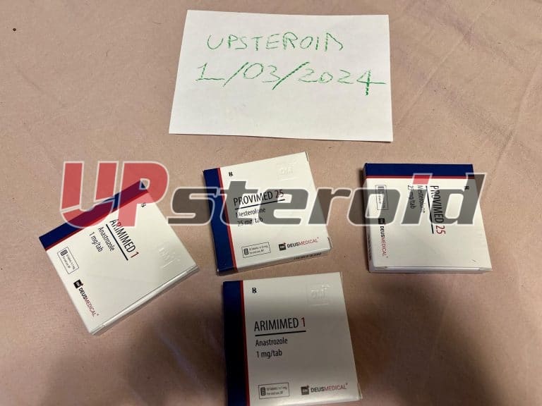 2024 03 01 65e203a27b4cb آي إم جي 6433