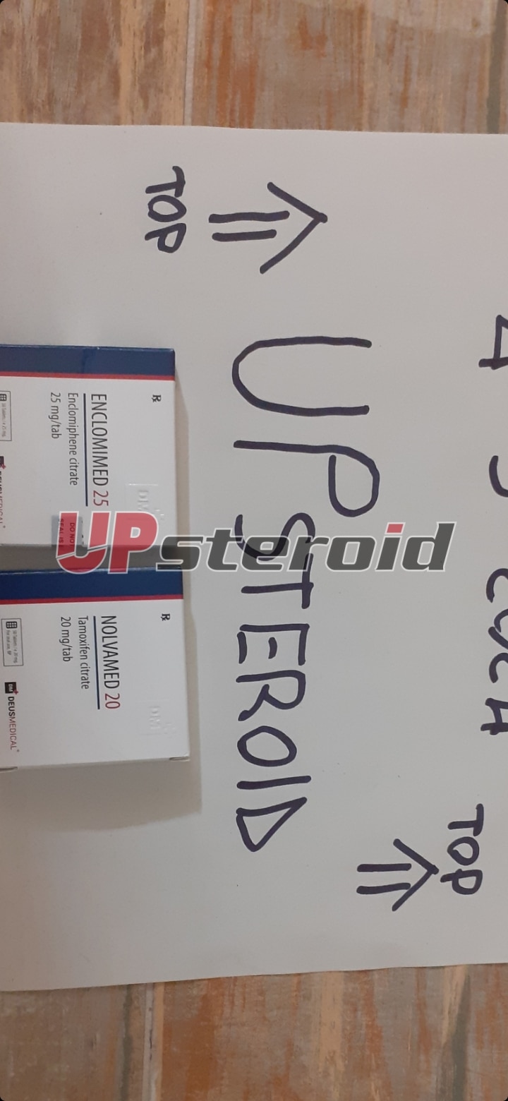 2024 03 04 65e635ce1c044 لقطة شاشة 20240304 215539 معرض الصور