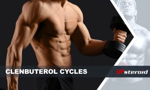 مدونة up clenbu cycle