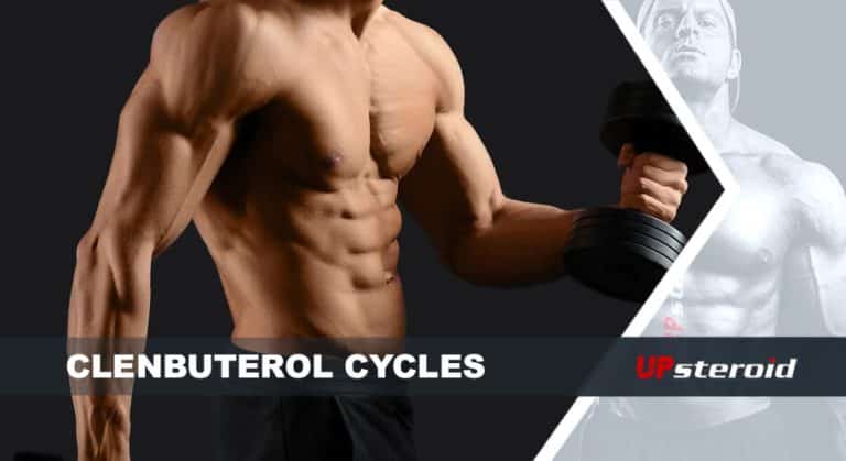 مدونة up clenbu cycle