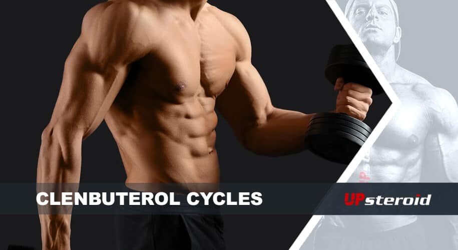 مدونة up clenbu cycle