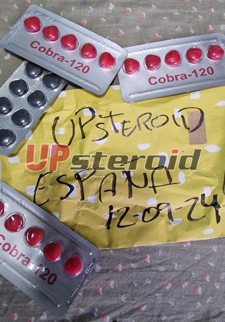 2024 09 12 66e380642c4ba تنقيح 2024091301554147