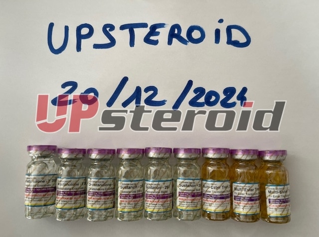 2024 12 20 67657a3328598 آي إم جي 4699