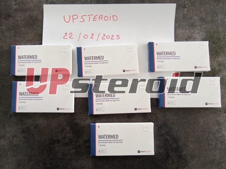 2025 02 25 67bDAF54419d5 صور 1أ