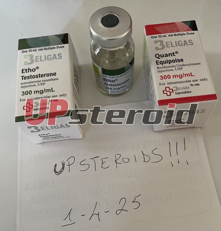 2025 04 08 67f5404567f87 آي إم جي 8934