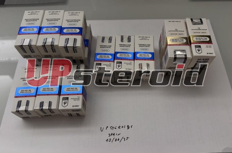 2025 06 12 684a84693067a Photo12 6 25053403