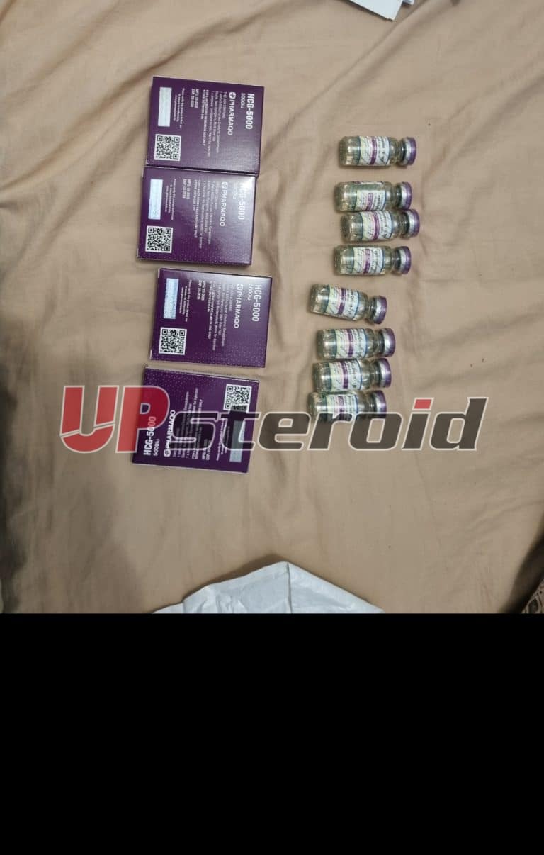 2025 08 04 68913be446f01 لقطة شاشة 20250805 010032 معرض الصور