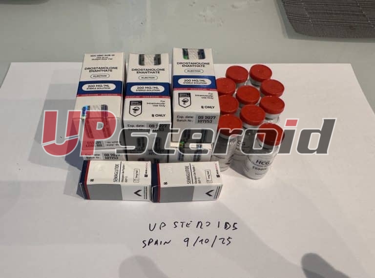 2025 10 09 68e7b0ad0aa28 الصورة 9 10 25143149