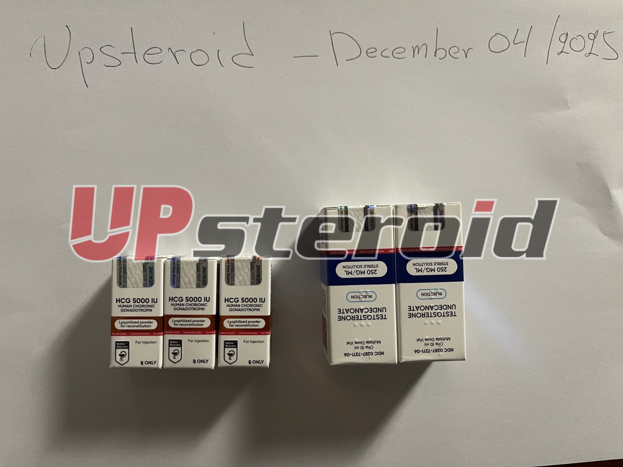 27/04/2026 - أنتويرب - بلجيكا